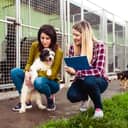 A young woman working at a dog shelter helping another pick a dog