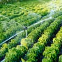 irrigation system watering crops in an agricultural field