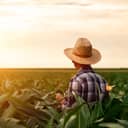 Backshot of a farmer in a field at dusk