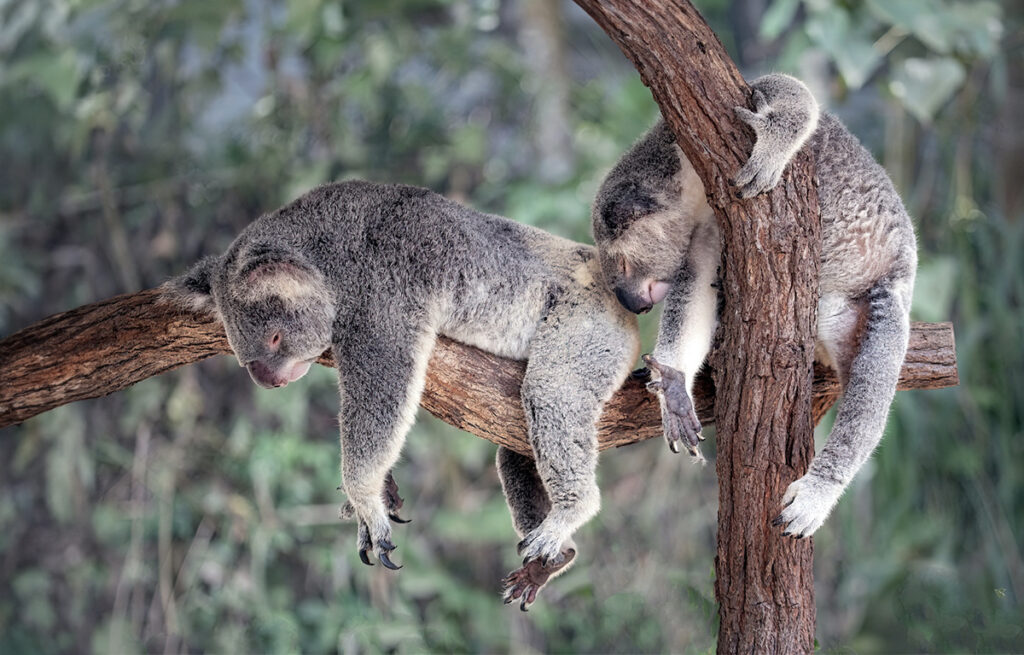 "Take it Easy!" 10 English Expressions for Relaxing